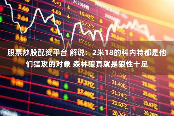 股票炒股配资平台 解说：2米18的科内特都是他们猛攻的对象 森林狼真就是狼性十足
